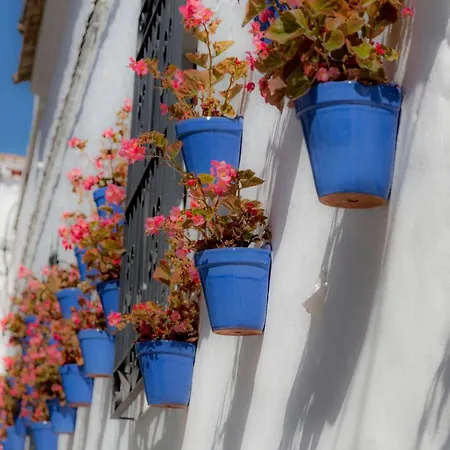 Casona Seis Lunas Διαμέρισμα Μαρμπέλλα